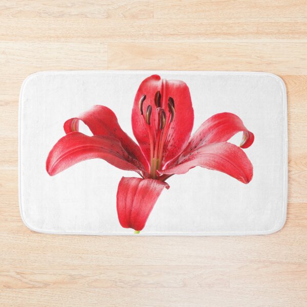 Item preview, Lilium  'Blackout'  Lily  Asiatic lily   designed and sold by Chris Burrows.