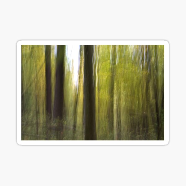 Item preview, Echo Woodland designed and sold by LynyrdSky.