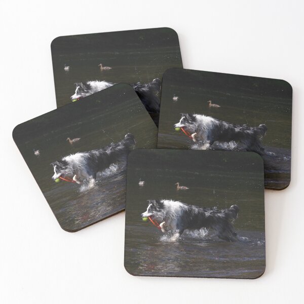Item preview, Border collie playing in river designed and sold by turniptowers.