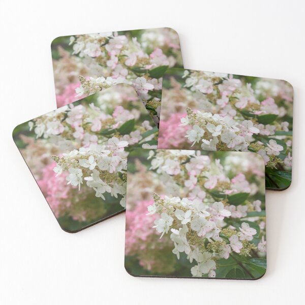 Item preview, The White Panicled hydrangea designed and sold by Jouko Lehto Photography.