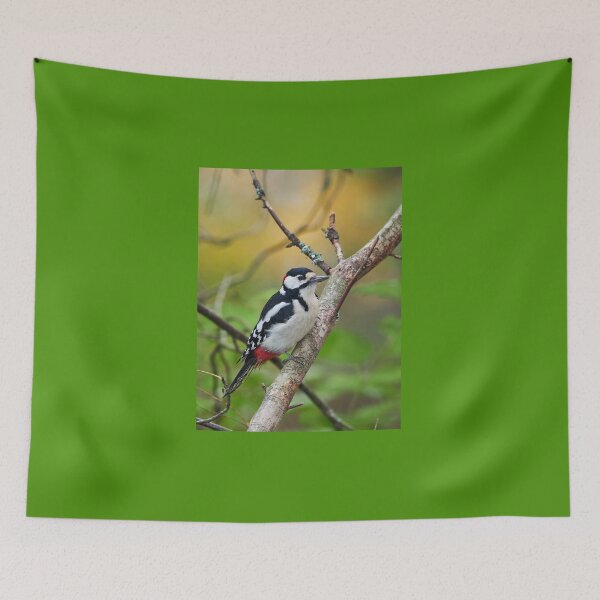 Item preview, Great spotted woodpecker and the colors of the fall designed and sold by Jouko Lehto Photography.