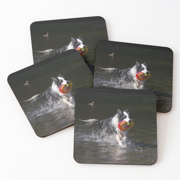 Item preview, Border collie playing in river designed and sold by turniptowers.