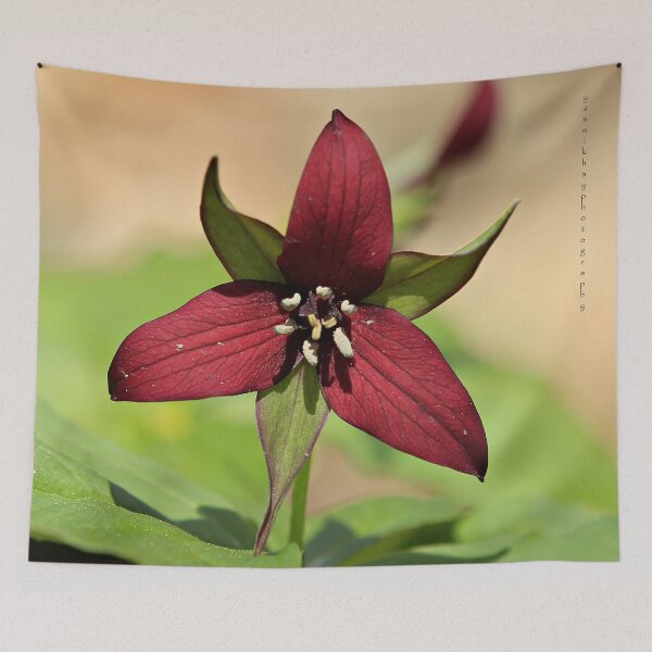 Item preview, Red Trillium designed and sold by Yannik Hay.