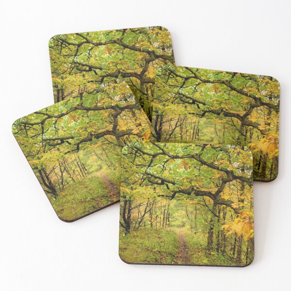 Item preview, Echo Valley Walk designed and sold by LynyrdSky.