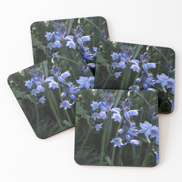 Item preview, bluebells, photograph designed and sold by valerie travers.