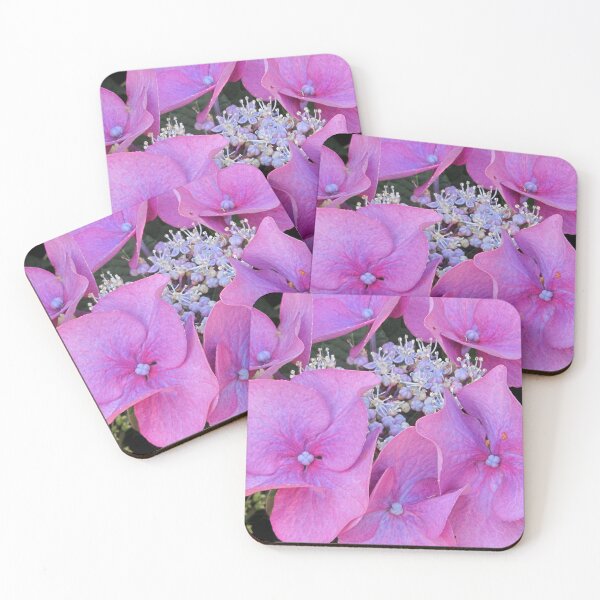 Item preview, Lacecap hydrangea designed and sold by valerie travers.