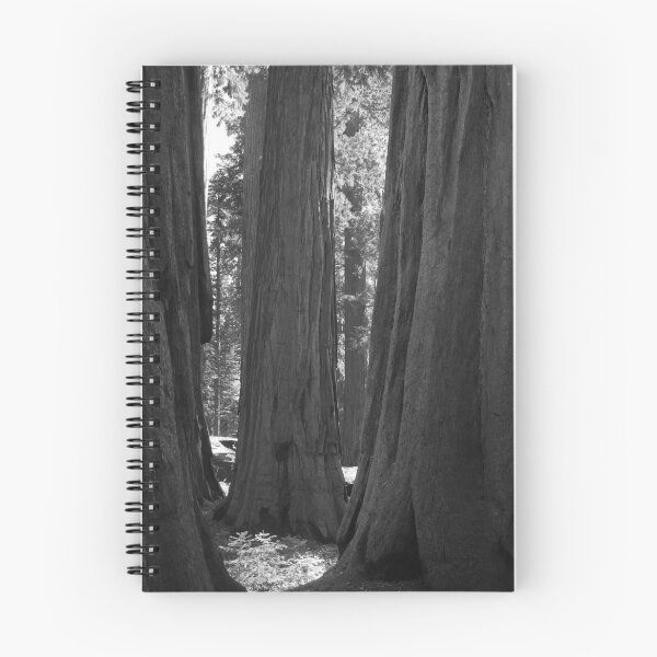 Item preview, Saplings grow designed and sold by Daniel Holtmeyer.