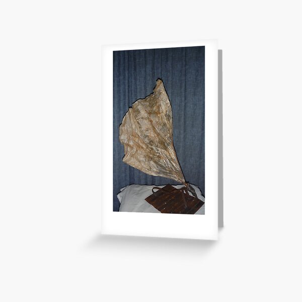Float (another view) Greeting Card
