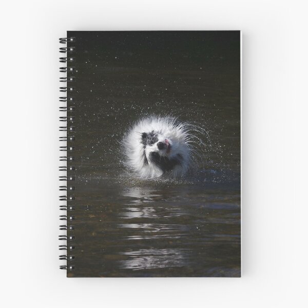 Item preview, Border collie shaking water designed and sold by turniptowers.