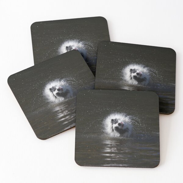 Item preview, Border collie shaking water designed and sold by turniptowers.