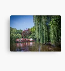 swan boat Canvas Print