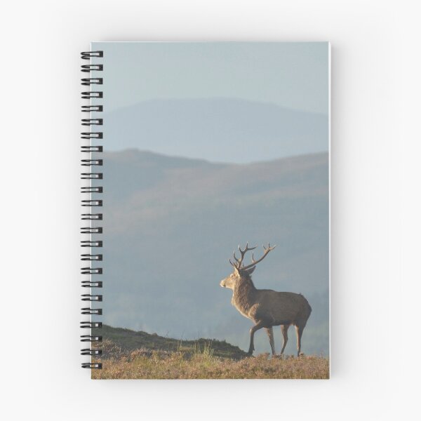 Item preview, Royal Stag  designed and sold by Macrae images.