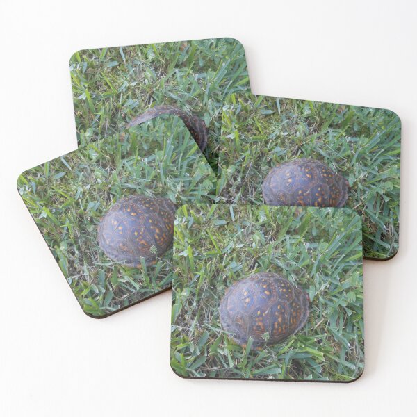 Item preview, Turtle Magic v. 1 designed and sold by Mark Polk.