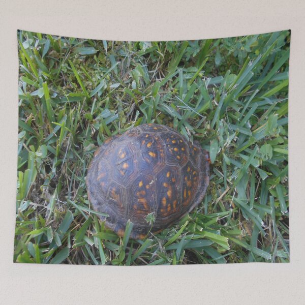 Item preview, Turtle Magic v. 1 designed and sold by Mark Polk.