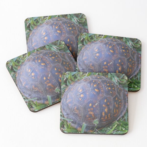 Item preview, Turtle Magic v. 2 designed and sold by Mark Polk.