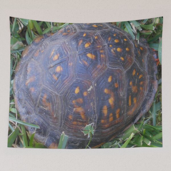 Item preview, Turtle Magic v. 2 designed and sold by Mark Polk.