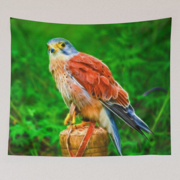 Item preview, Kestrel designed and sold by FOLK ART FUSION by heidiannemorris.