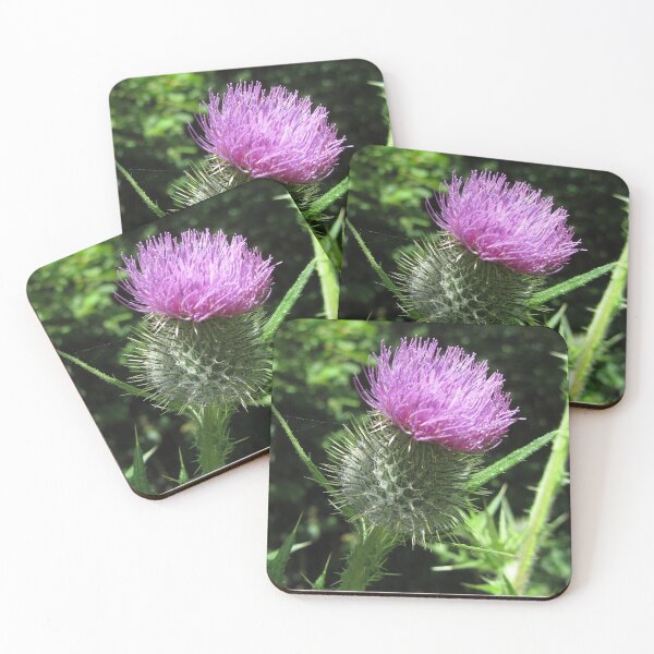 Item preview, Thistle - photograph designed and sold by valerie travers.