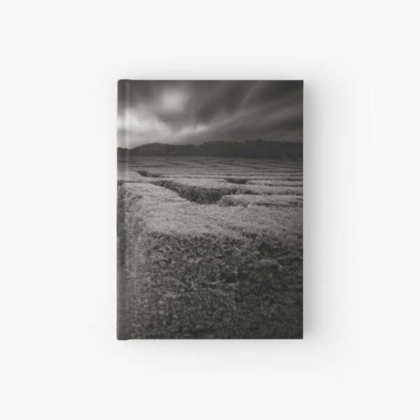 The Journey Through Blackbrook Hardcover Journal