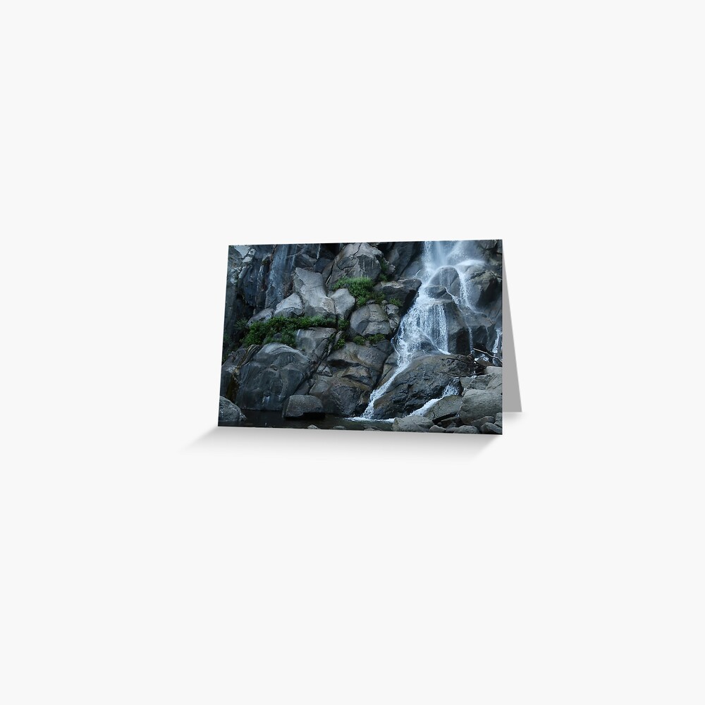Grizzly Falls Greeting Card