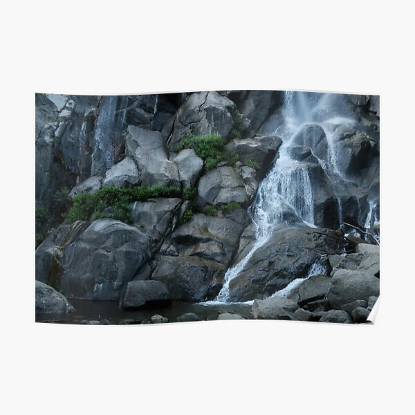 Grizzly Falls Poster