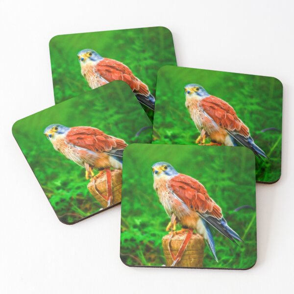 Item preview, Kestrel designed and sold by FOLK ART FUSION by heidiannemorris.