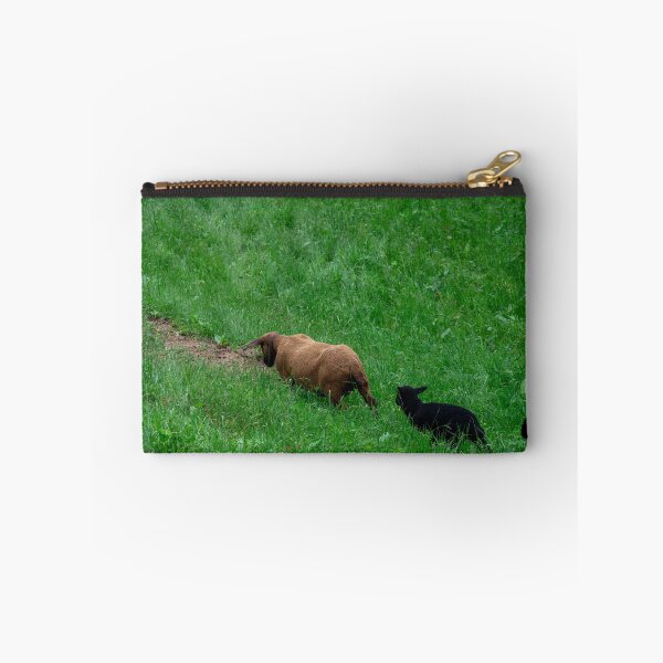 Item preview, Sheep 2 designed and sold by photosbyalexis.