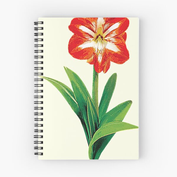 Item preview, Orange and White Amaryllis designed and sold by Susan Savad.