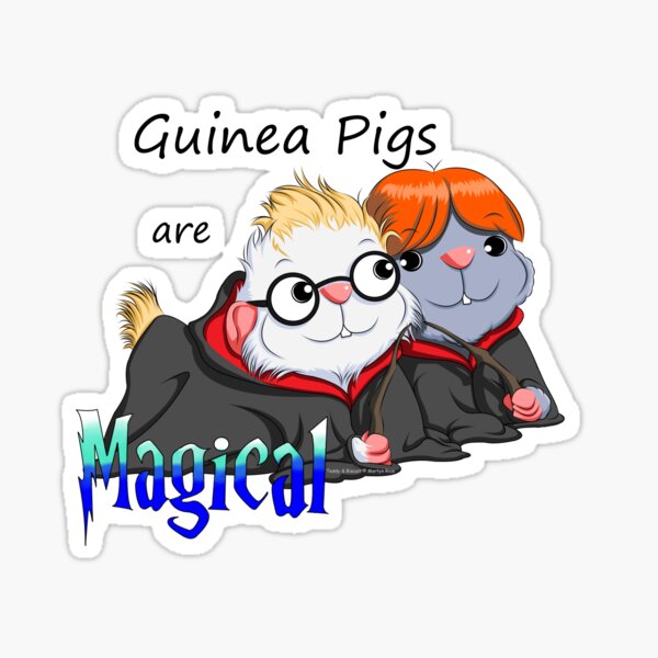 Guinea Pigs are Magical Sticker