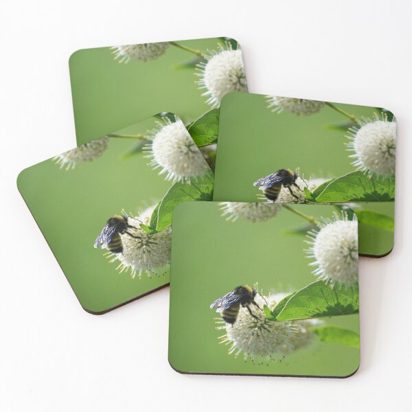 Item preview, Bumblebee with shiny wings pollinating white flower designed and sold by Stretch Clendennen.