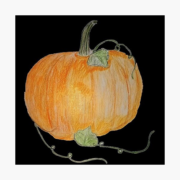 Pumpkin #04 Photographic Print