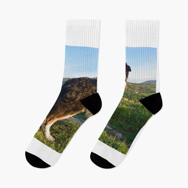 Item preview, Travels with Laddie. designed and sold by Michael Haslam.
