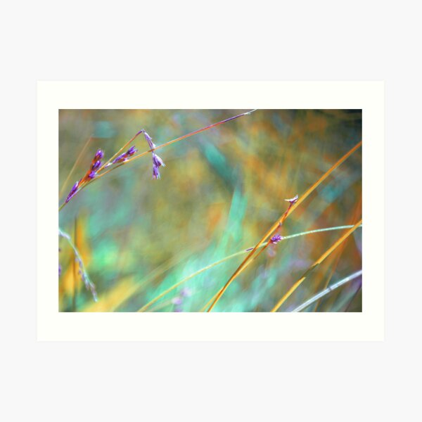 My summer painting Art Print