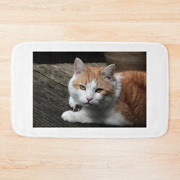 Item preview, Brody designed and sold by Ladymoose.