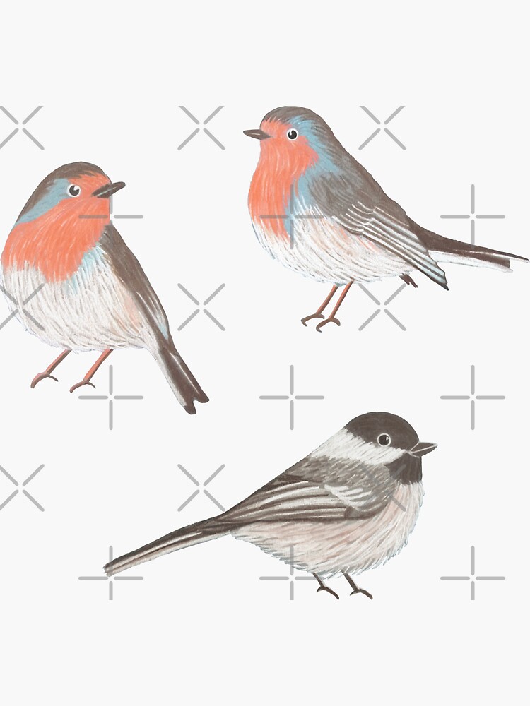 Winter Birds (with stickers) by nadyanadya