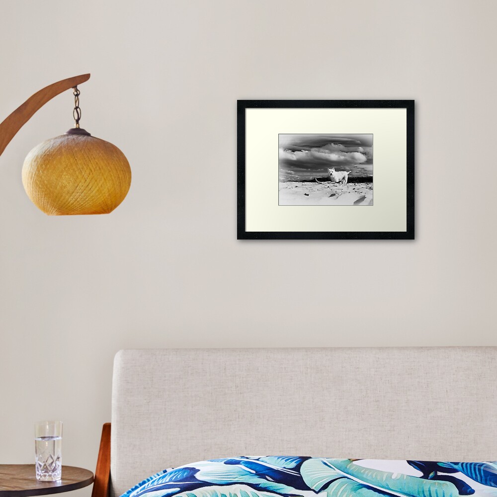 Shannon Framed Art Print