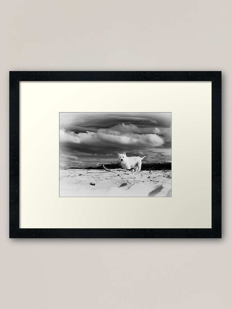 Alternate view of Shannon Framed Art Print