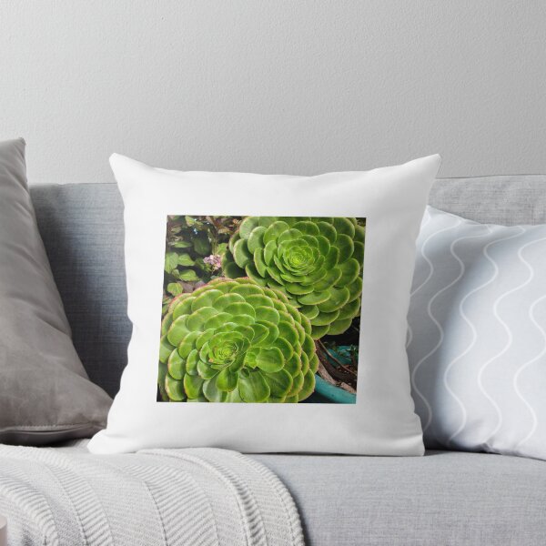 Item preview, Succulents designed and sold by Claudia Fuller.
