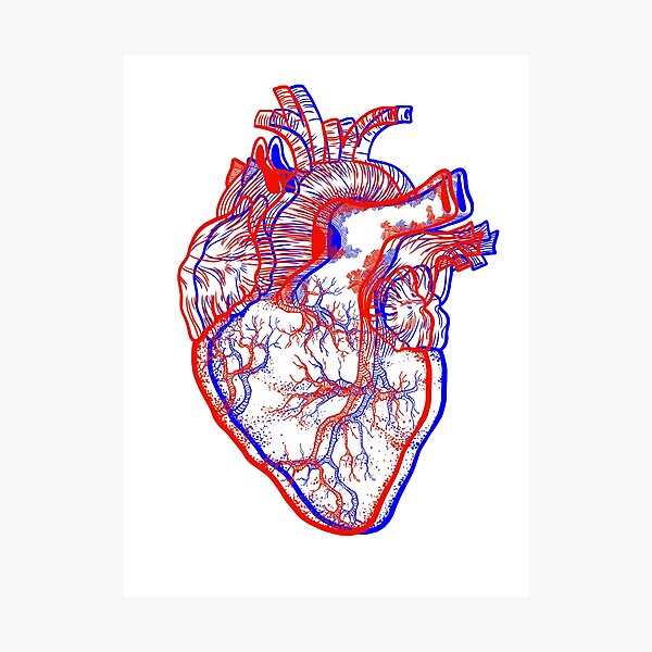 3D heart Photographic Print