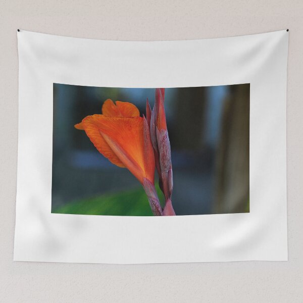 Item preview, Canna Lily Bloom designed and sold by Brenda Burnett.