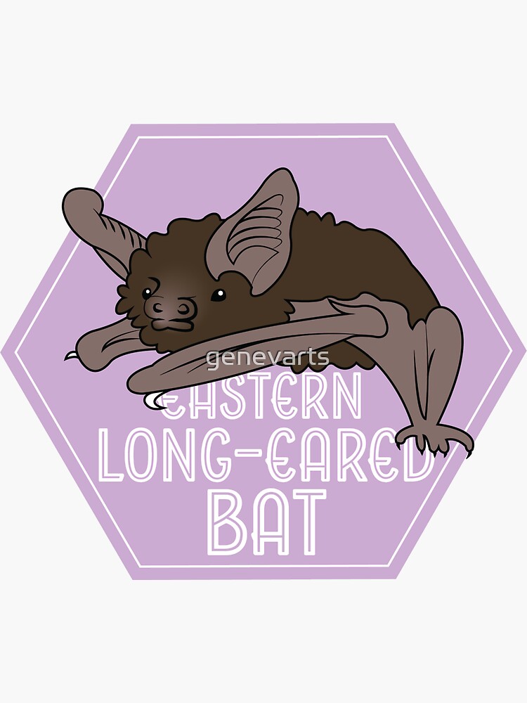 "Eastern Long-Eared Bat" Sticker for Sale by genevarts | Redbubble