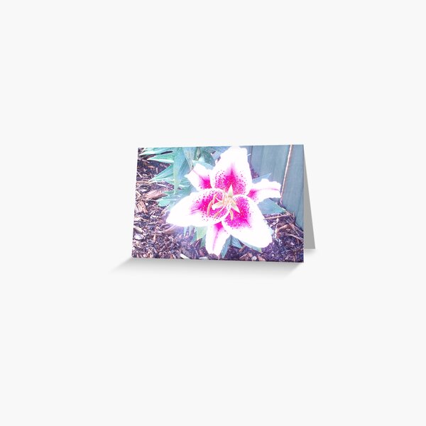 About time... Greeting Card