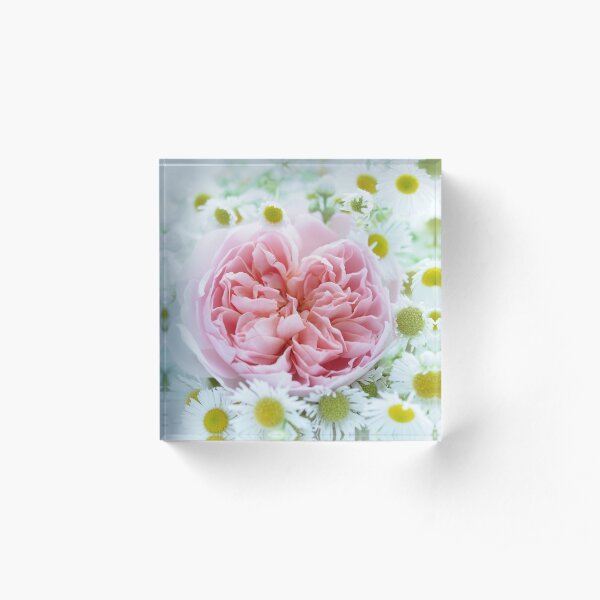 A Jolly English Rose Acrylic Block