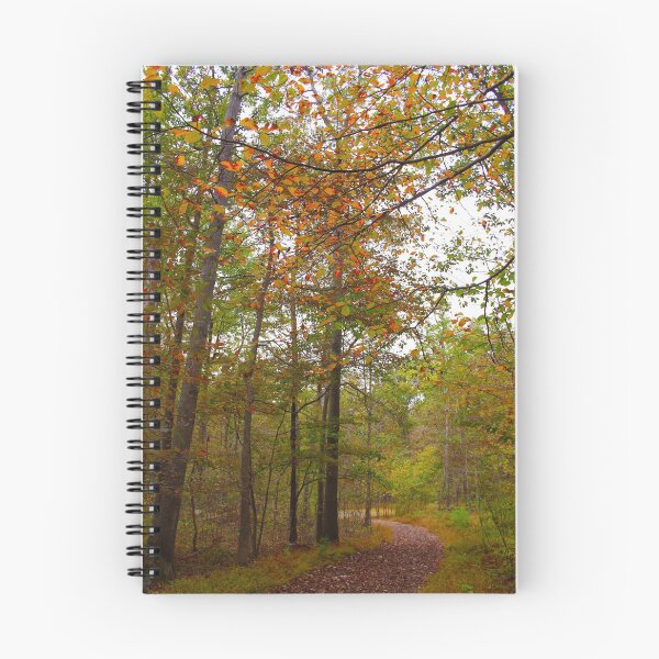 Item preview, Autumn graces the trail designed and sold by RYBHOWE.