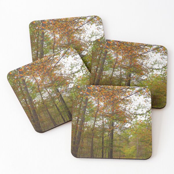 Item preview, Autumn graces the trail designed and sold by RYBHOWE.
