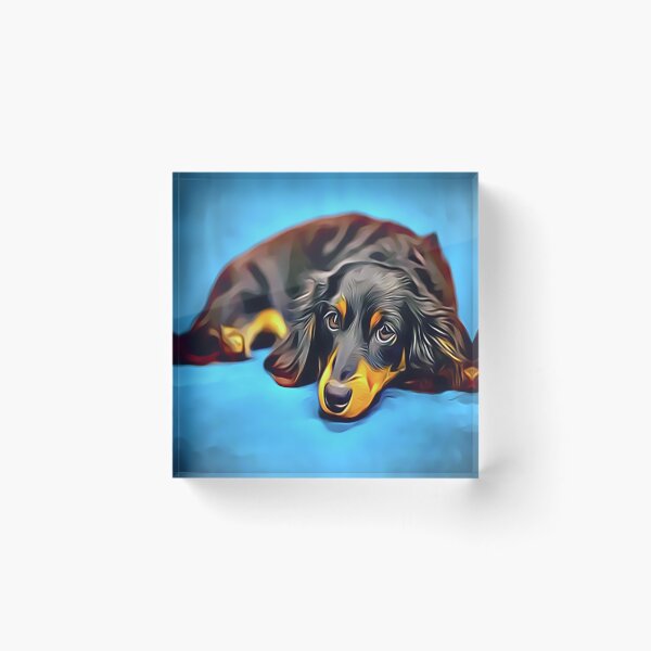Item preview, Sleepy Long Haired Brown Dachshund designed and sold by Sunleil.