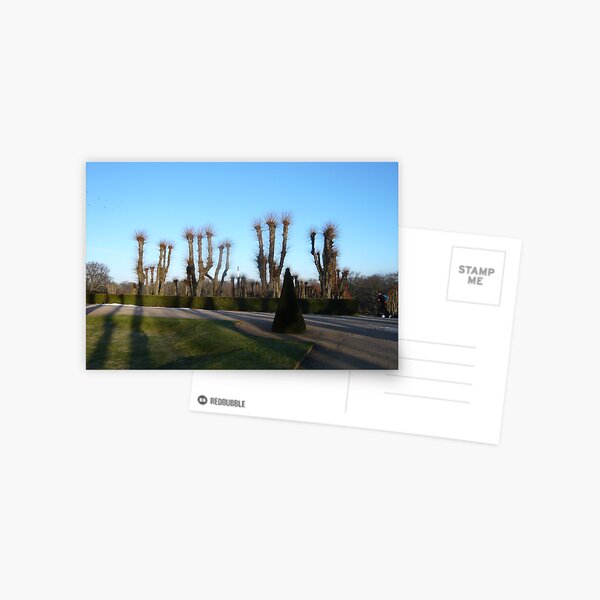 Runner Postcard