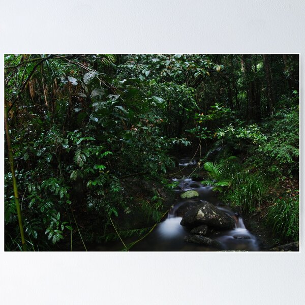 Artikelvorschau, Mossman Gorge entworfen und verkauft von ein22.