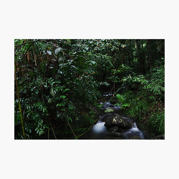 Item preview, Mossman Gorge designed and sold by ein22.