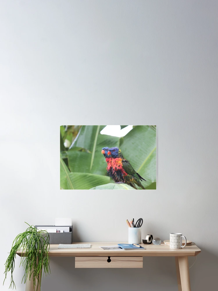 Thumbnail 2 of 3, Poster, Mirror Image designed and sold by Cathie Trimble.